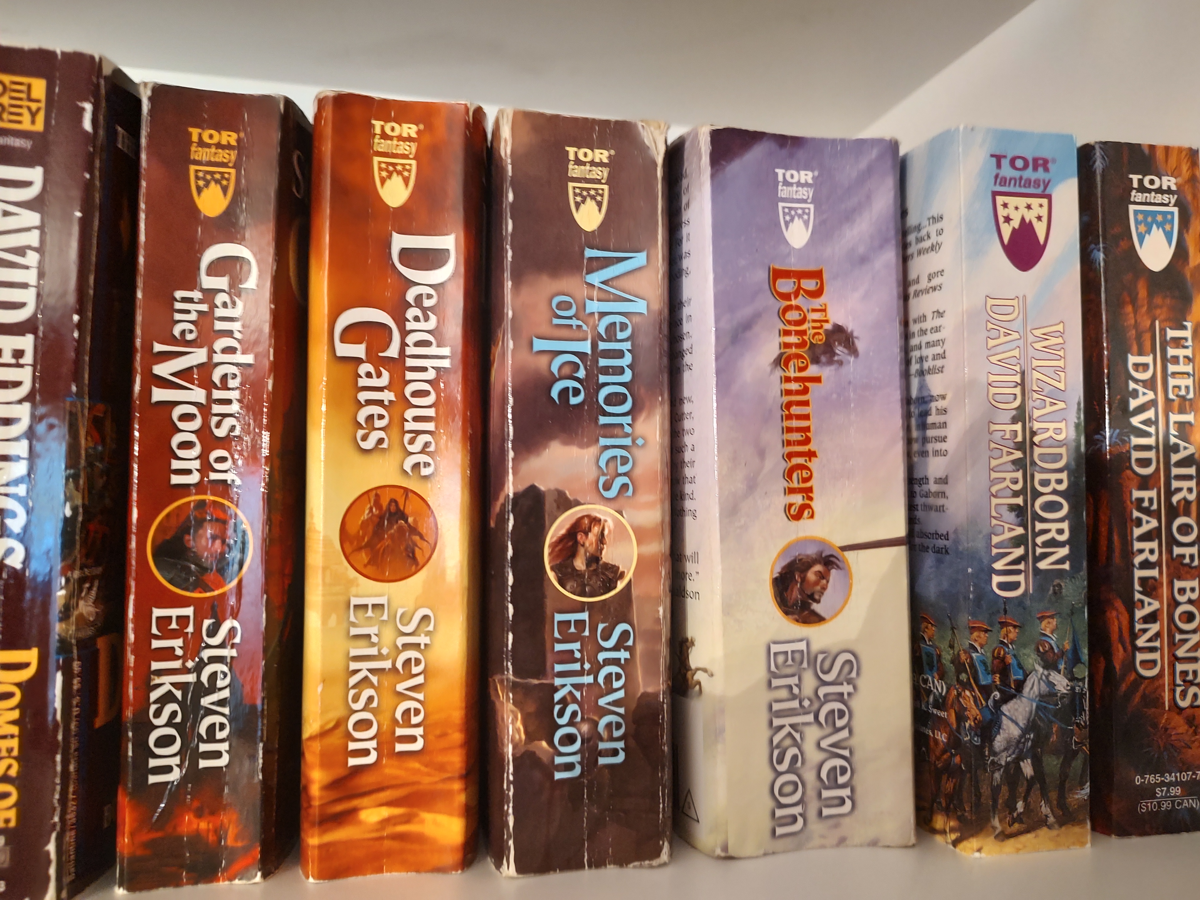 A few books in the Malazan Book of the Fallen Series by Steven Erikson